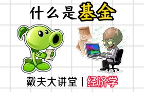 什么是基金(什么是基金支付)